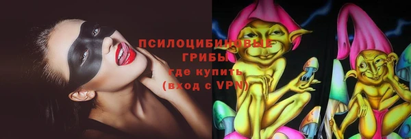 молекула духа Богородицк