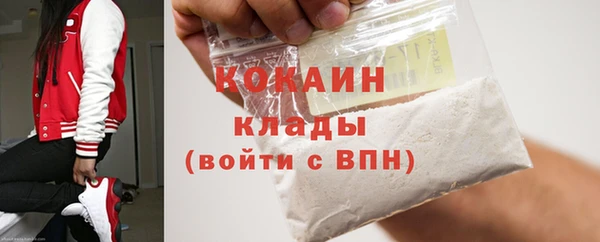 молекула духа Богородицк