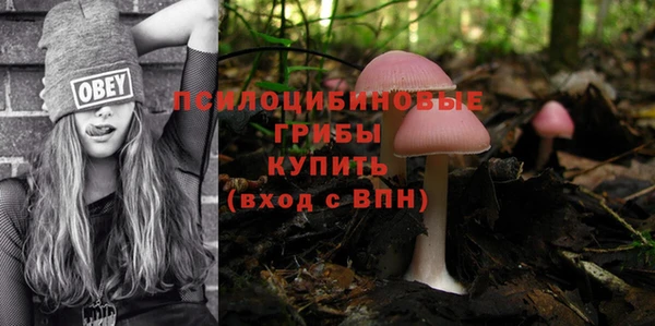 стафф Бородино