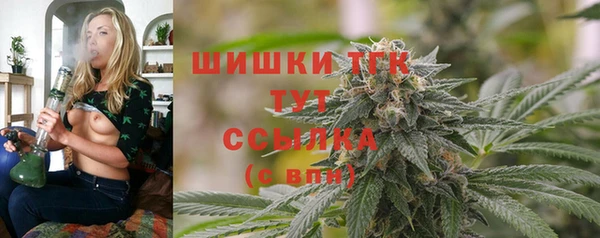 молекула духа Богородицк