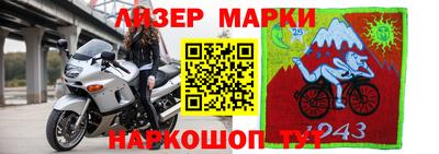 стафф Нальчик