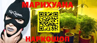 стафф Нальчик
