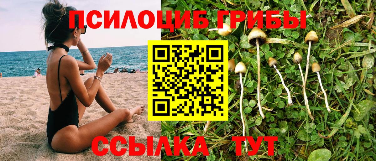 Галлюциногенные грибы Magic Shrooms  Вход с VPN  Буйнакск 